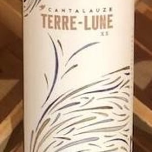 Terre-Lune - Domaine de Cantalauze - pierre-olivier-pauline-laurent -2020