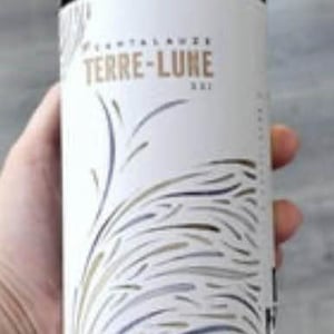 Terre-Lune - Domaine de Cantalauze - Pierre-Olivier & Pauline Laurent -2020