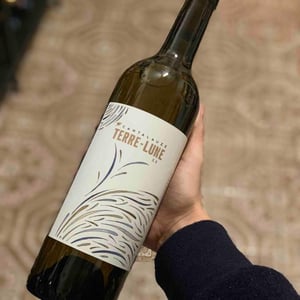 Terre-Lune - Domaine de Cantalauze - pierre-olivier-pauline-laurent -2020