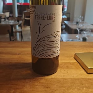 Terre-Lune - Domaine de Cantalauze - pierre-olivier-pauline-laurent -2020