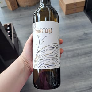 Terre-Lune - Domaine de Cantalauze - pierre-olivier-pauline-laurent -2020