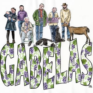 Terre rouge - Domaine De Gabelas - mathieu-bartholin -2020