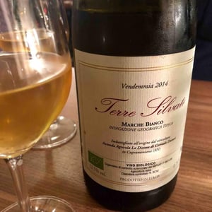 Terre Silvate - La Distesa - Corrado Dottori 
