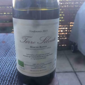 La Distesa - Corrado Dottori - Terre Silvate