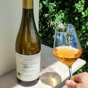 Terre Silvate - La Distesa - corrado-dottori