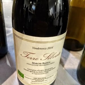 Terre Silvate 2016