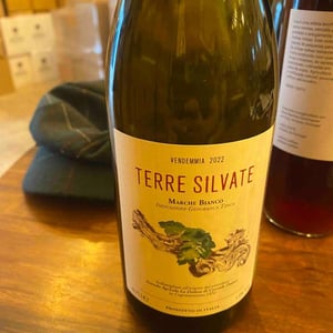 Terre Silvate - La Distesa - corrado-dottori