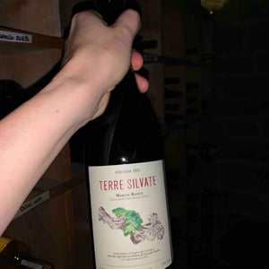 Terre Silvate - La Distesa - corrado-dottori