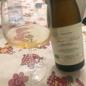 La Distesa - Corrado Dottori - Terre Silvate