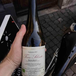 La Distesa - Corrado Dottori - Terre Silvate