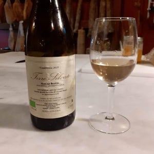 Terre Silvate - La Distesa - Corrado Dottori 