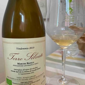 Terre Silvate - La Distesa - corrado-dottori