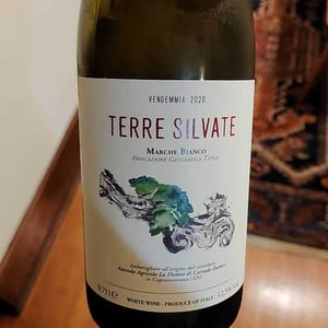La Distesa - Corrado Dottori - Terre Silvate