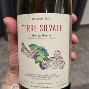 La Distesa - Corrado Dottori - Terre Silvate
