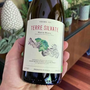Terre Silvate - La Distesa - corrado-dottori