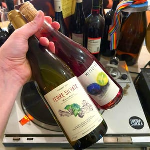 Terre Silvate - La Distesa - corrado-dottori