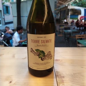 Terre Silvate - La Distesa - corrado-dottori