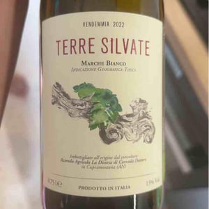 La Distesa - Corrado Dottori - Terre Silvate