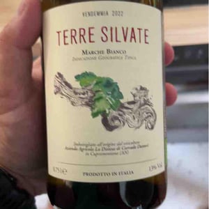 Terre Silvate - La Distesa - Corrado Dottori 