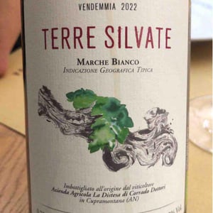 Terre Silvate - La Distesa - Corrado Dottori 
