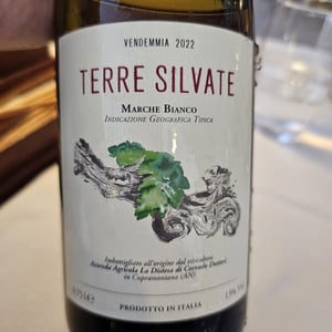 Terre Silvate - La Distesa - Corrado Dottori 