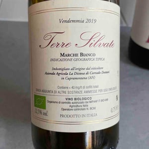 Terre Silvate - La Distesa - Corrado Dottori 
