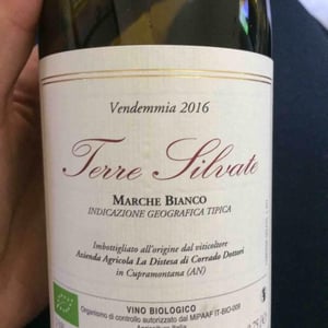 Terre Silvate - La Distesa - corrado-dottori