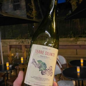 Terre Silvate - La Distesa - corrado-dottori
