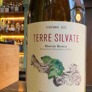 Terre Silvate - La Distesa - corrado-dottori