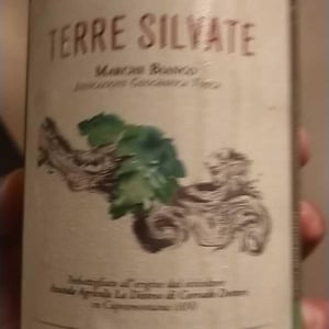 La Distesa - Corrado Dottori - Terre Silvate
