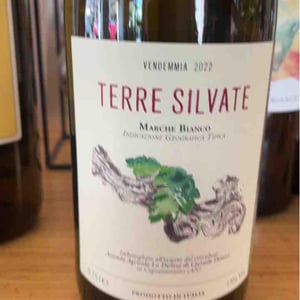 Terre Silvate - La Distesa - corrado-dottori