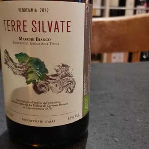 Terre Silvate - La Distesa - corrado-dottori