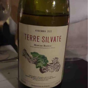 La Distesa - Corrado Dottori - Terre Silvate