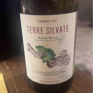 La Distesa - Corrado Dottori - Terre Silvate