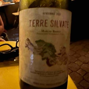 Terre Silvate - La Distesa - Corrado Dottori 