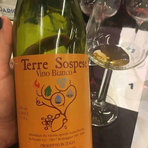 Terre Sospese - Terre Sospese - andrea-pecunia