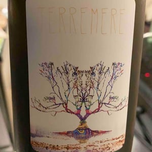 Terremere (new label) - La Combe aux Rêves - gregoire-perron-judicaelle-cevasco -2020
