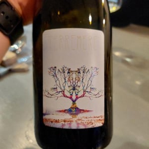 Terremere (new label) - La Combe aux Rêves - Gregoire Perron & Judicaëlle Cevasco -2020
