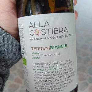 Terreni Bianchi - Alla Costiera - filippo-gamba