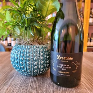 Terrers Brut Nature - Recaredo - ton-mata