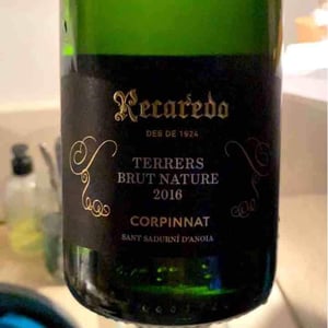 Terrers Brut Nature - Recaredo - Ton Mata 
