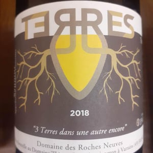 Terres - Domaine des Roches Neuves - thierry-et-louis-germain