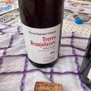 Terres Beaujolaises - Domaine Emmanuel Giboulot - Emmanuel Giboulot 