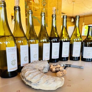 Terres Bleues - Domaine de la Touraize - andre-jean-heleana-morin
