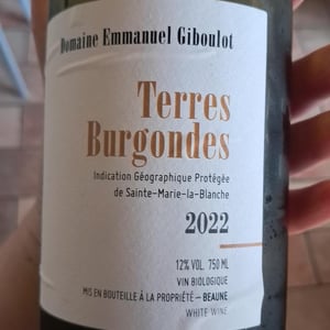 Terres Burgondes - Domaine Emmanuel Giboulot - Emmanuel Giboulot 