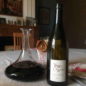 Terres Chaudes - Domaine des Roches Neuves - Thierry et Louis Germain 