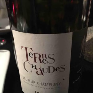 Terres Chaudes - Domaine des Roches Neuves - thierry-et-louis-germain