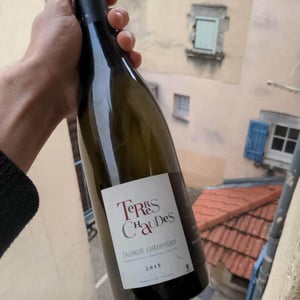 Terres Chaudes - Domaine des Roches Neuves - Thierry et Louis Germain 