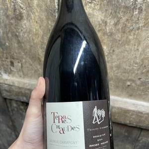 Terres Chaudes - Domaine des Roches Neuves - thierry-et-louis-germain