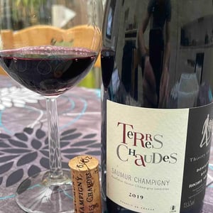 Terres Chaudes - Domaine des Roches Neuves - Thierry et Louis Germain 
